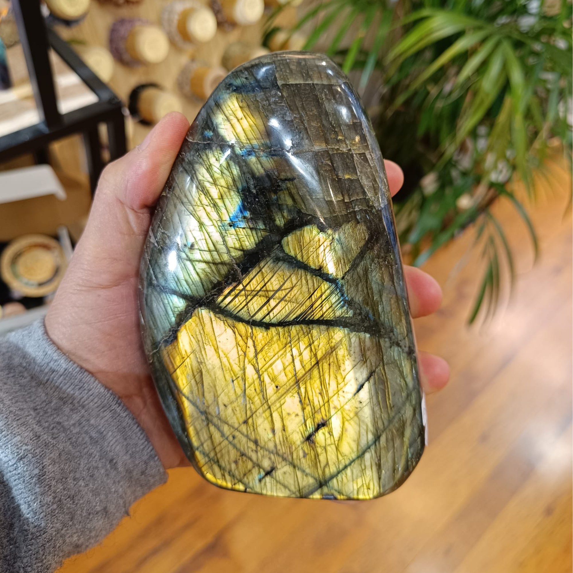 ✦ Qualité & Authenticité