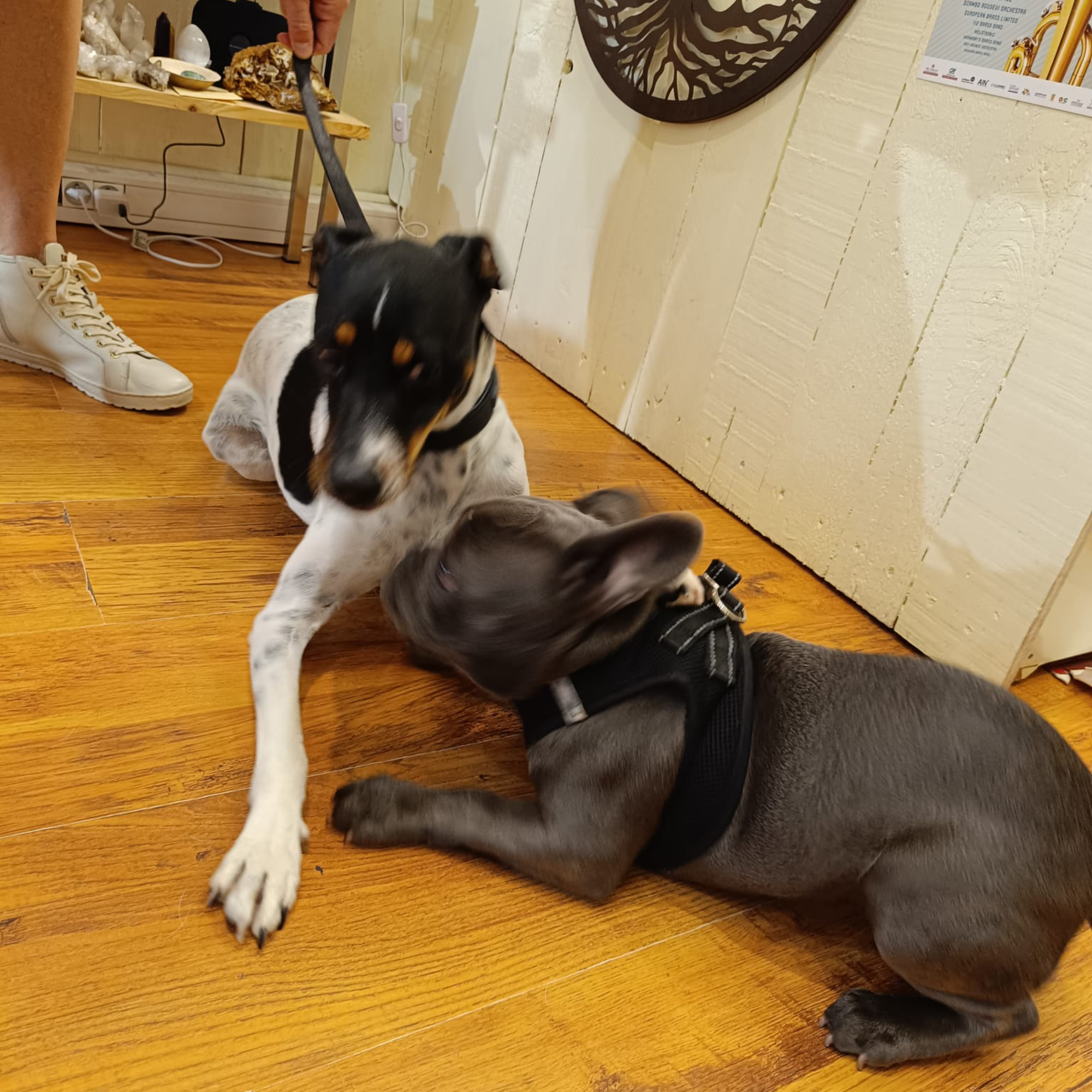 ✦ Pensé pour durer