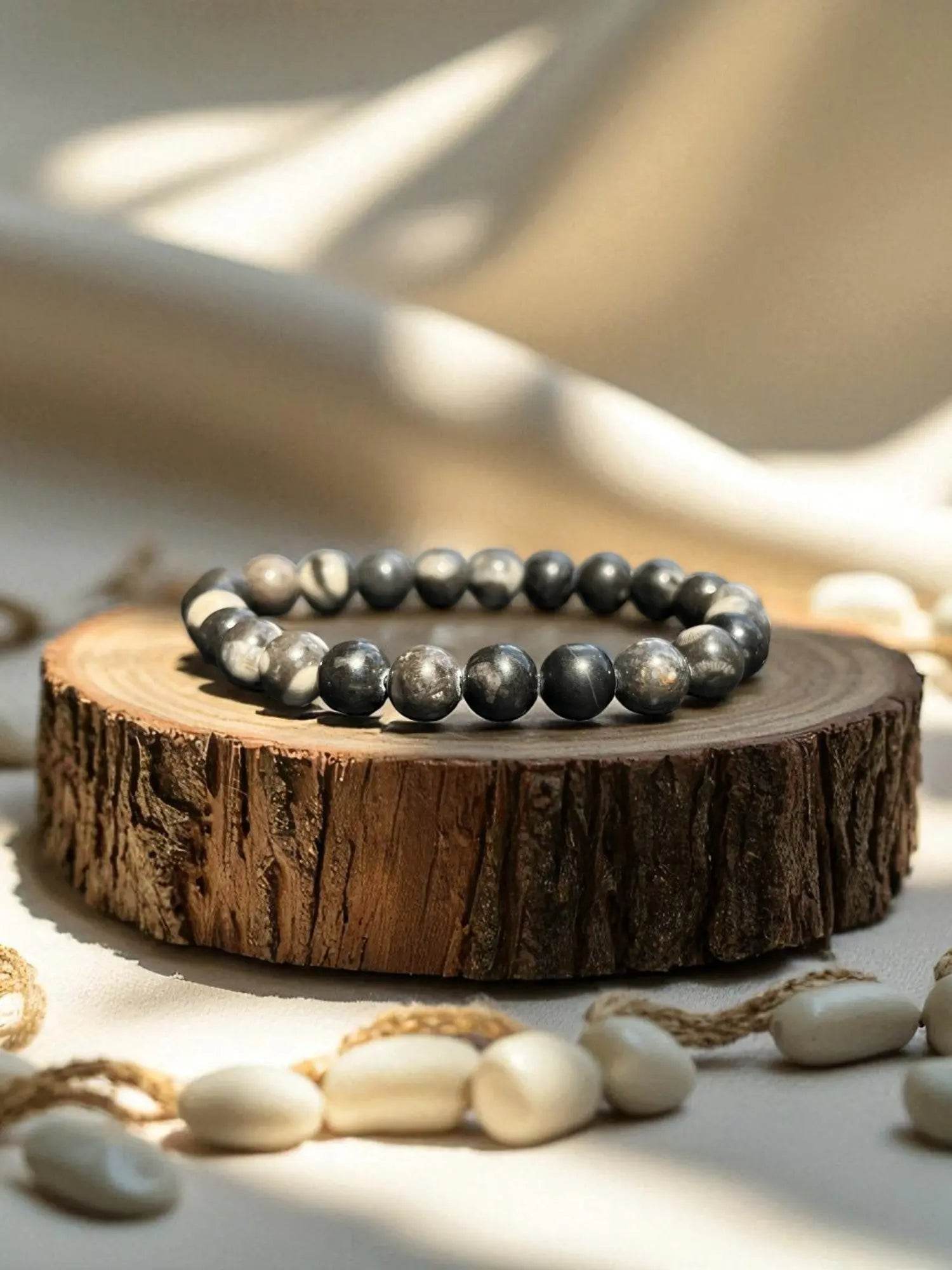 Orthoceras - Maroc - BD PIERRES NATURELLES