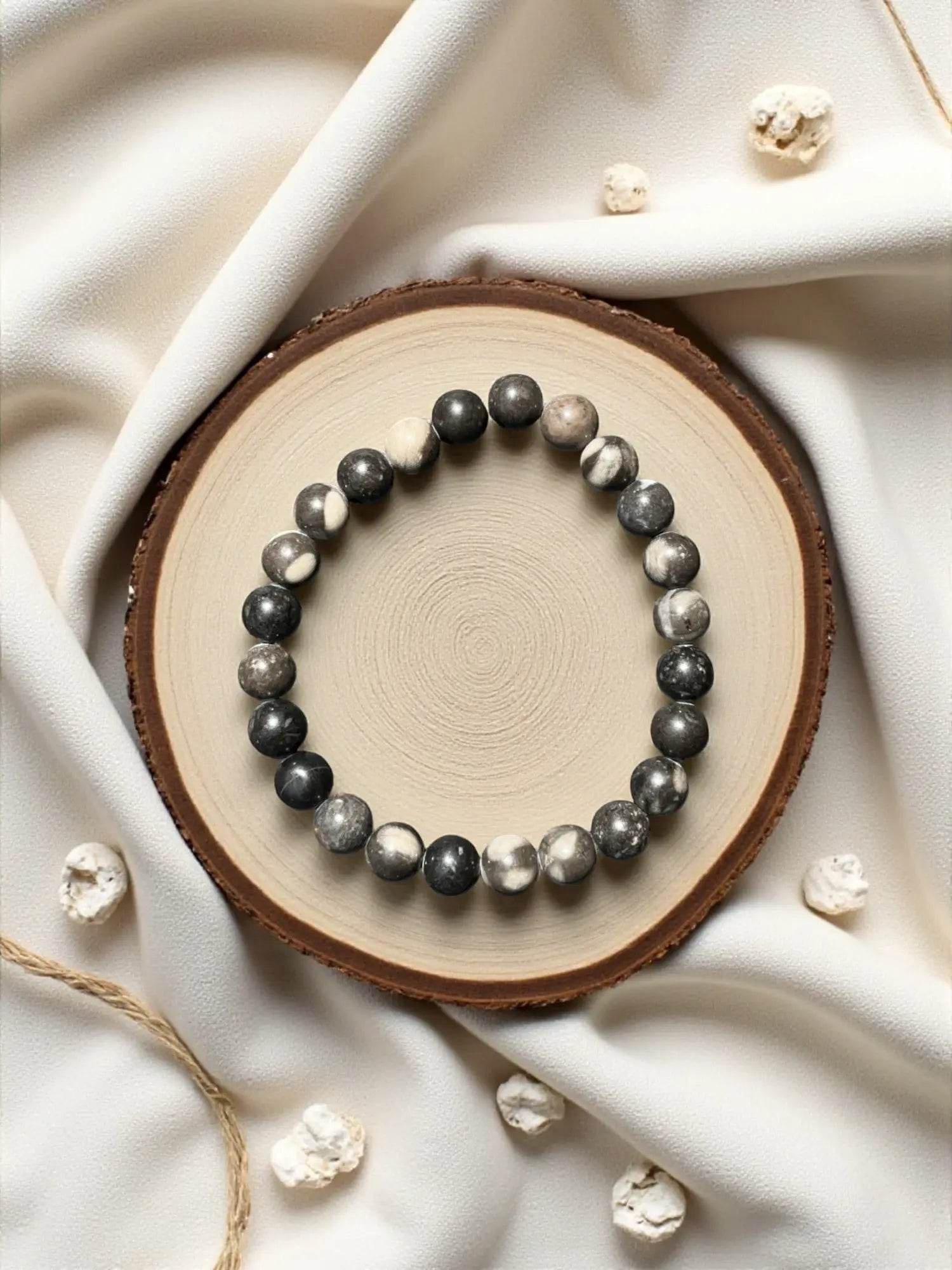 Orthoceras - Maroc - BD PIERRES NATURELLES