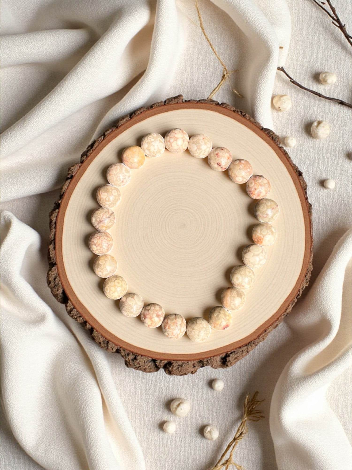 Corail fossilisé - Etats Unis - BD PIERRES NATURELLES