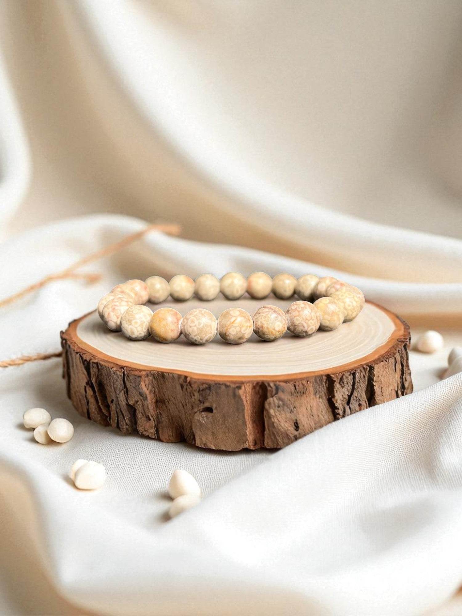 Corail fossilisé - Etats Unis - BD PIERRES NATURELLES