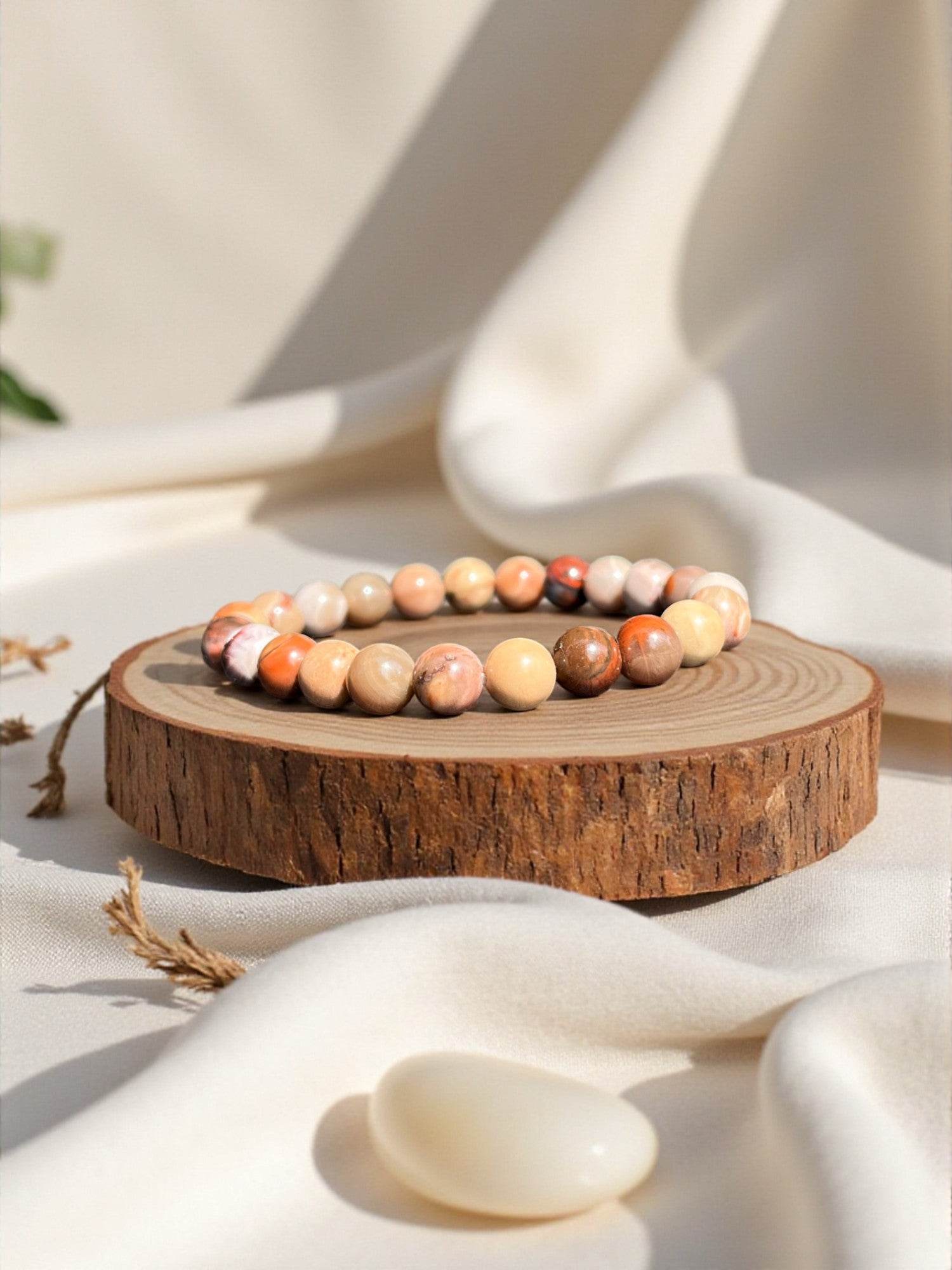 Bois fossilisé - Etat-unis Q.AA - BD PIERRES NATURELLES